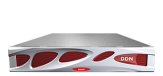 DDN AI200X-300