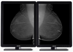 opisowe dwumonitorowe1